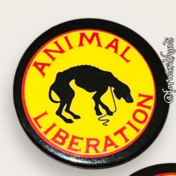 Bundle Sale 3 for $15 | Animal Activist | Animal Rights Pins - Picture 5 of 7
